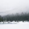 Snow-covered landscape near the Grand Canyon during a major winter storm