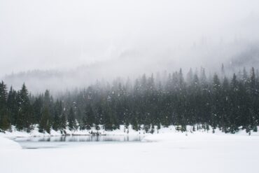 Snow-covered landscape near the Grand Canyon during a major winter storm