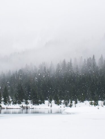 Snow-covered landscape near the Grand Canyon during a major winter storm