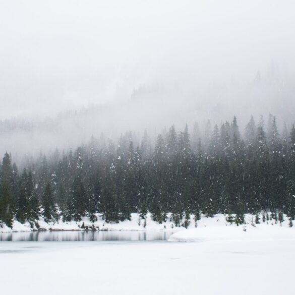 Snow-covered landscape near the Grand Canyon during a major winter storm