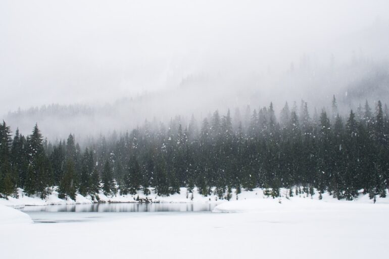 Snow-covered landscape near the Grand Canyon during a major winter storm